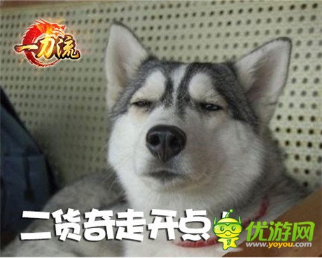 不做 天拓游戲《一刀流》寵物不只會(huì)賣萌