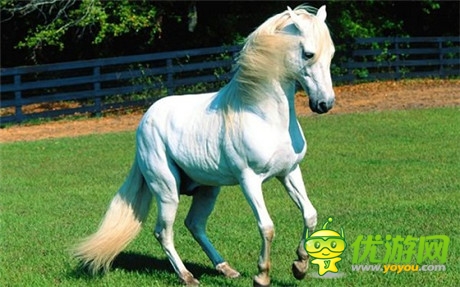 PK國戰(zhàn)手游《三國戰(zhàn)神》給力坐騎大猜想