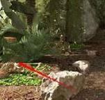 密室逃脫5通關(guān)攻略1-15關(guān)圖文攻略