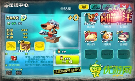 萌萌噠《阿喵阿汪》搞笑戰(zhàn)斗寵物大起底(一)