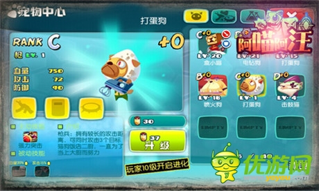 萌萌噠《阿喵阿汪》搞笑戰(zhàn)斗寵物大起底(一)